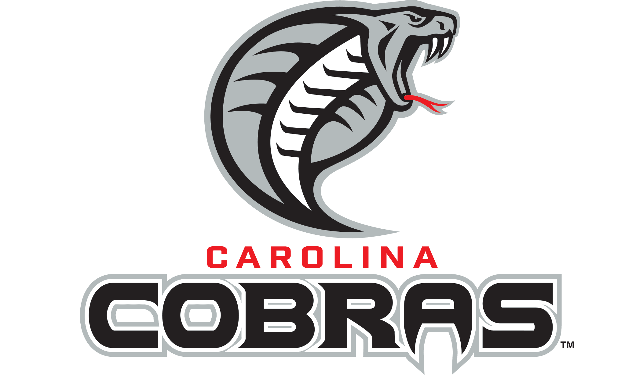 Indoor football returns to Greensboro with Carolina Cobras The North