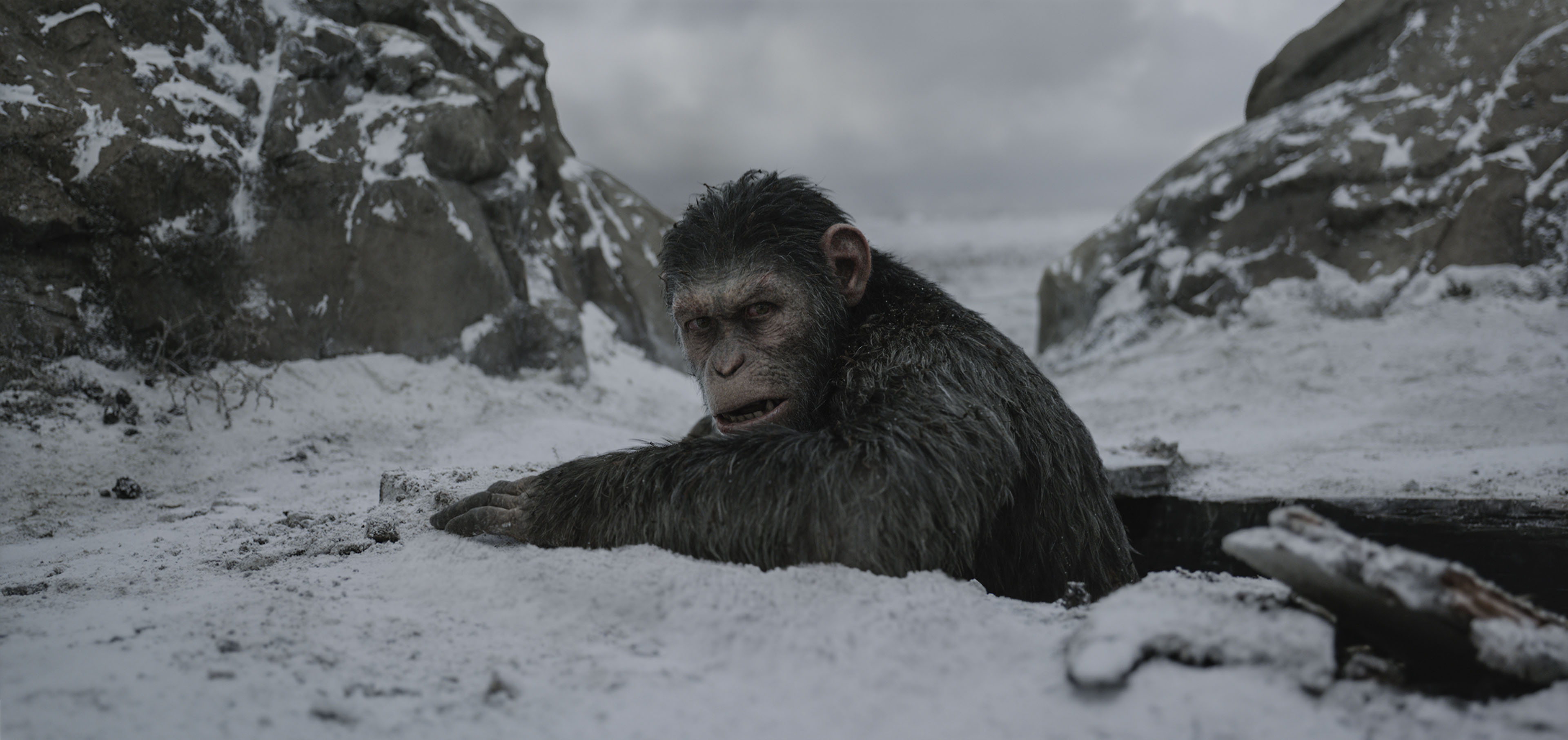 War for the of the Apes takes CGI to a new level The North