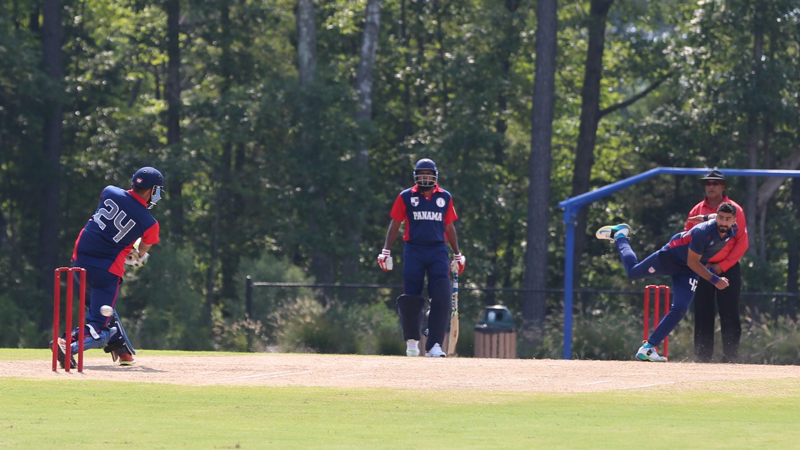 Cricket growing in Carolina The North State Journal