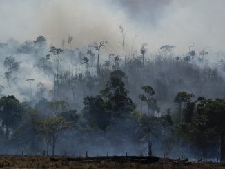 Amazon - fires