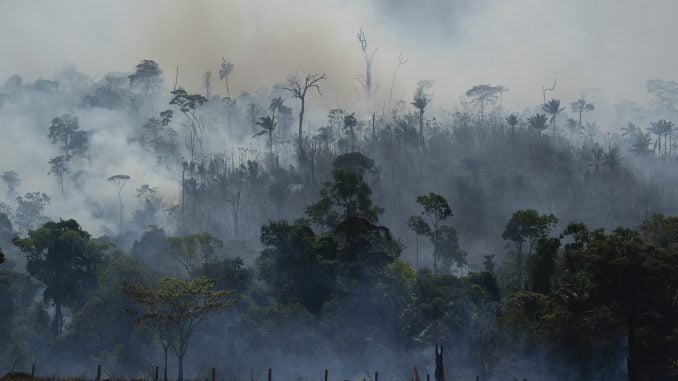 Amazon - fires