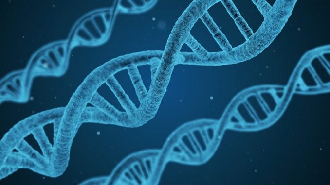 DNA - Genes - research