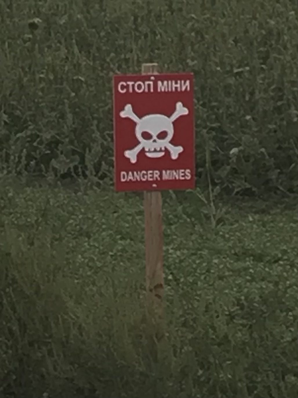 minefield sign (1)