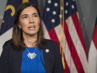 Anita Earls, Racial Equity Task Force