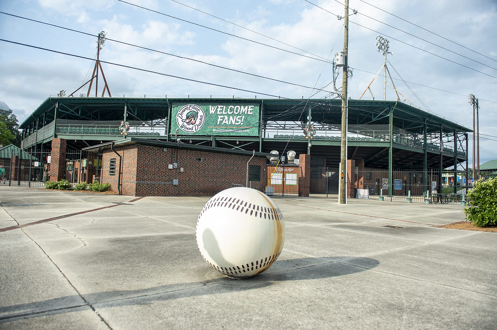 New Owners Plan To Move Down East Wood Ducks Out Of Kinston | The North ...