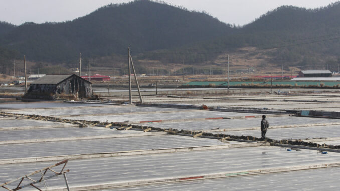 South Korea Salt Farm Slavery