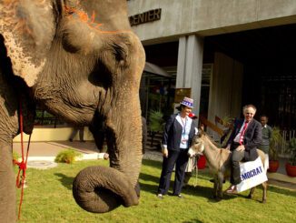 Elephant Donkey Republicans Democrats