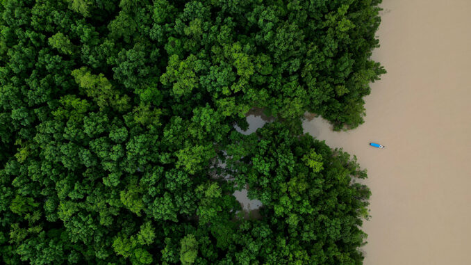 Brazil Amazon Ecological Investment
